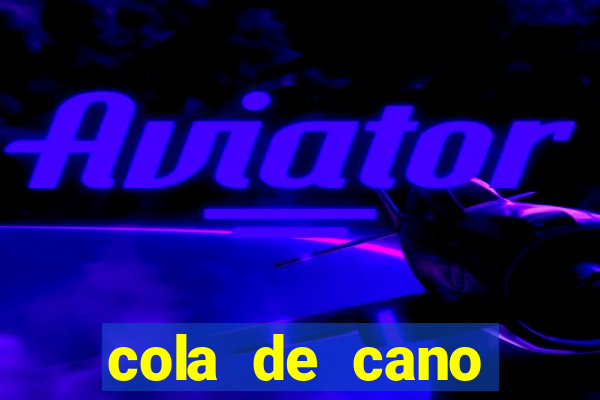 cola de cano quanto tempo para secar